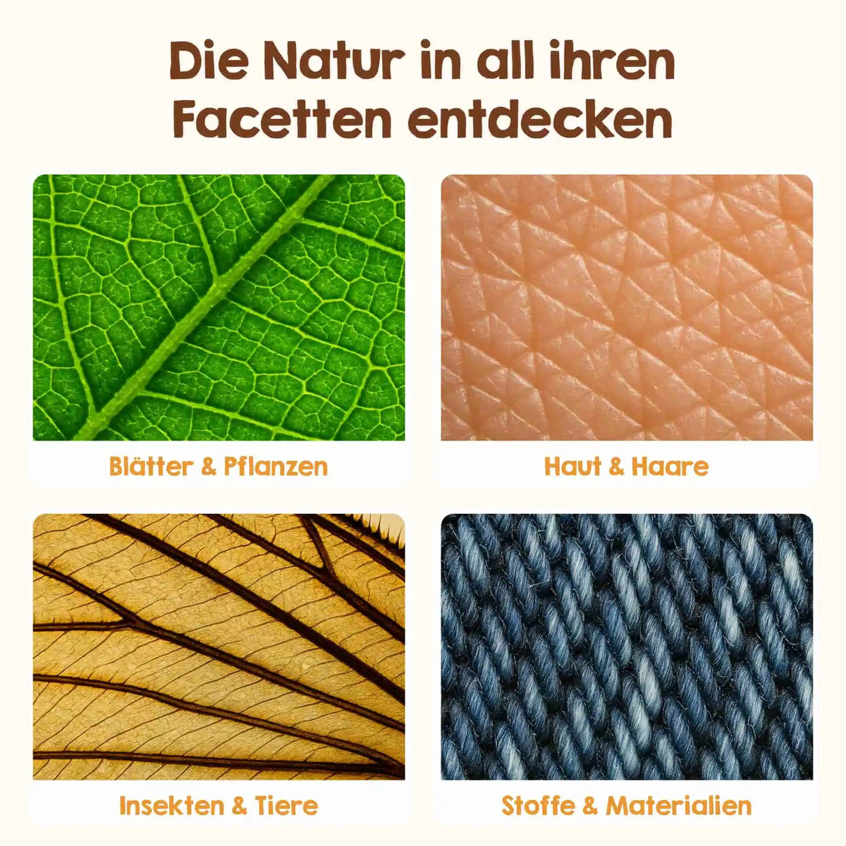 Abenteuer-Mikroskop (Geschenk-Starterset)
